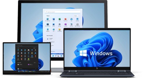illus-windows